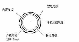 ͼ2ŵ缫ṹ